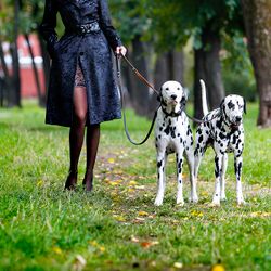 Виктория, фото 1