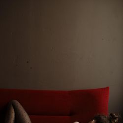 Ирада, фото 2